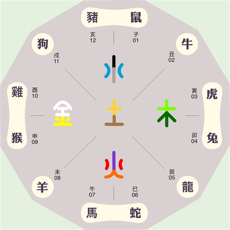 子五行属什么|子的五行属性是什么